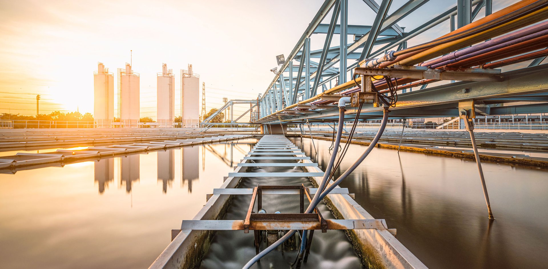 Sustainable success stories