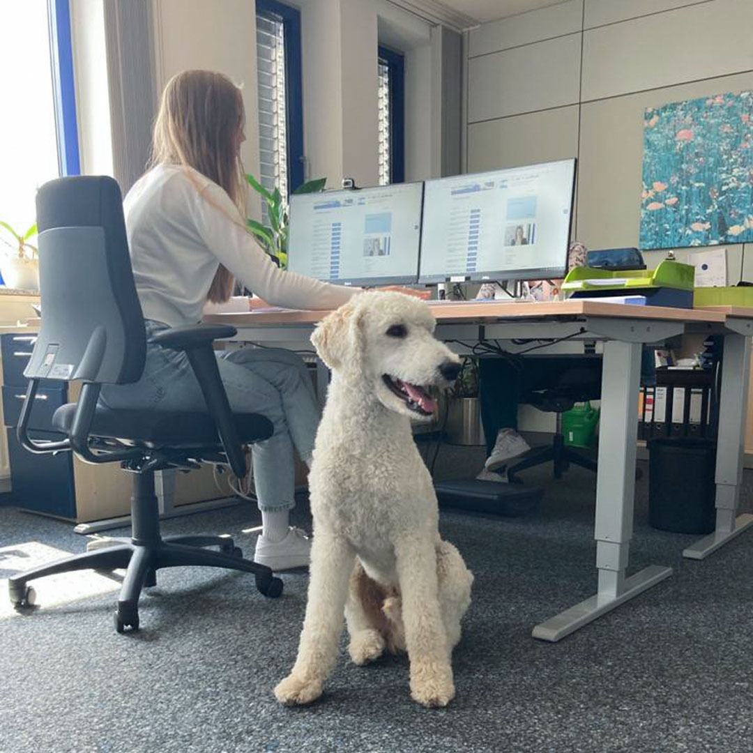 <u>Mobiles</u> Arbeiten