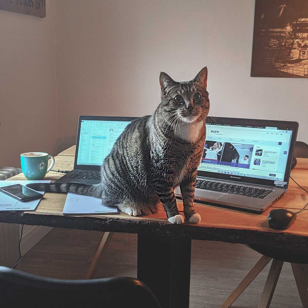 <u>Mobiles</u> Arbeiten